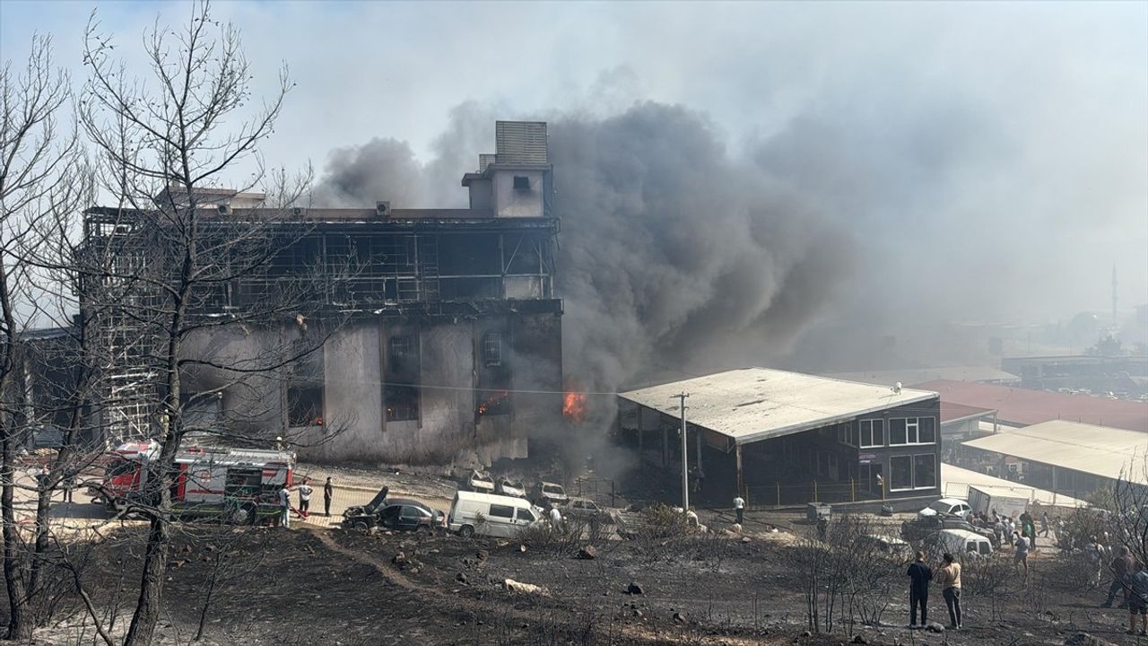 İzmir'de Çöplükten Ormana Sıçrayan Yangına Müdahale Devam Ediyor