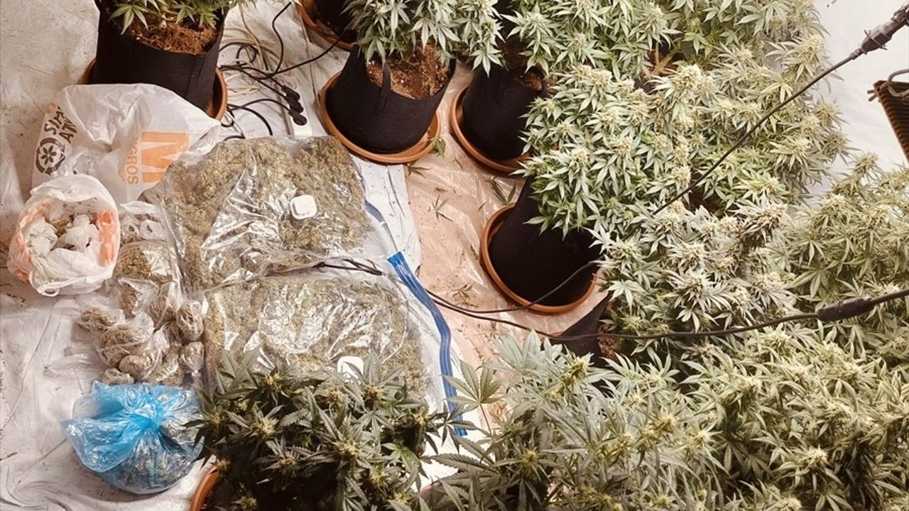 İzmir'de Uyuşturucu Operasyonu: Sera Sistemi ile Yetiştirilen Maddeye El Konuldu