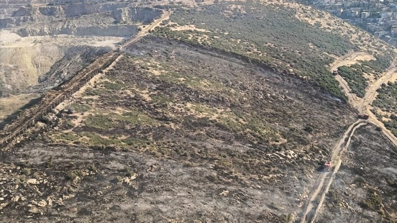 İzmir'de yangın kontrol altına alındı