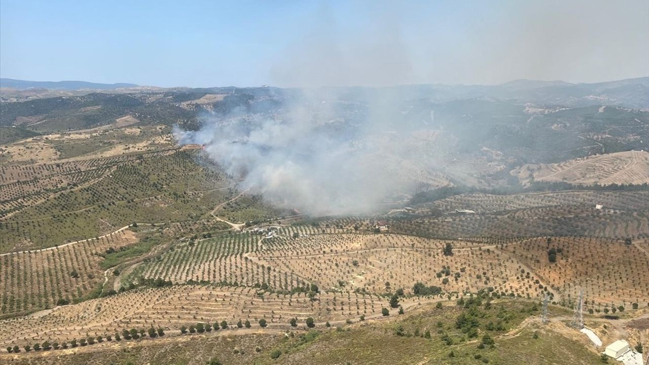 İzmir'in Seferihisar İlçesinde Yangın Müdahalesi