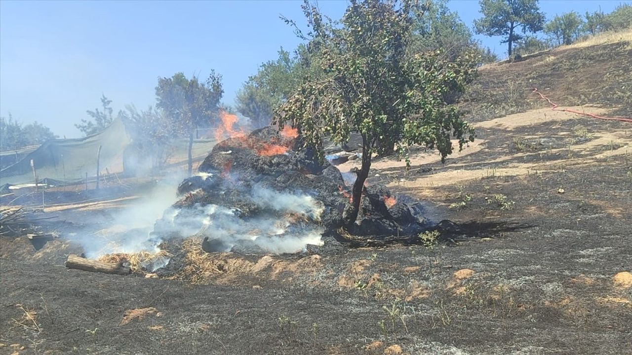 İzmir Torbalı'daki Orman Yangını Kontrol Altına Alındı