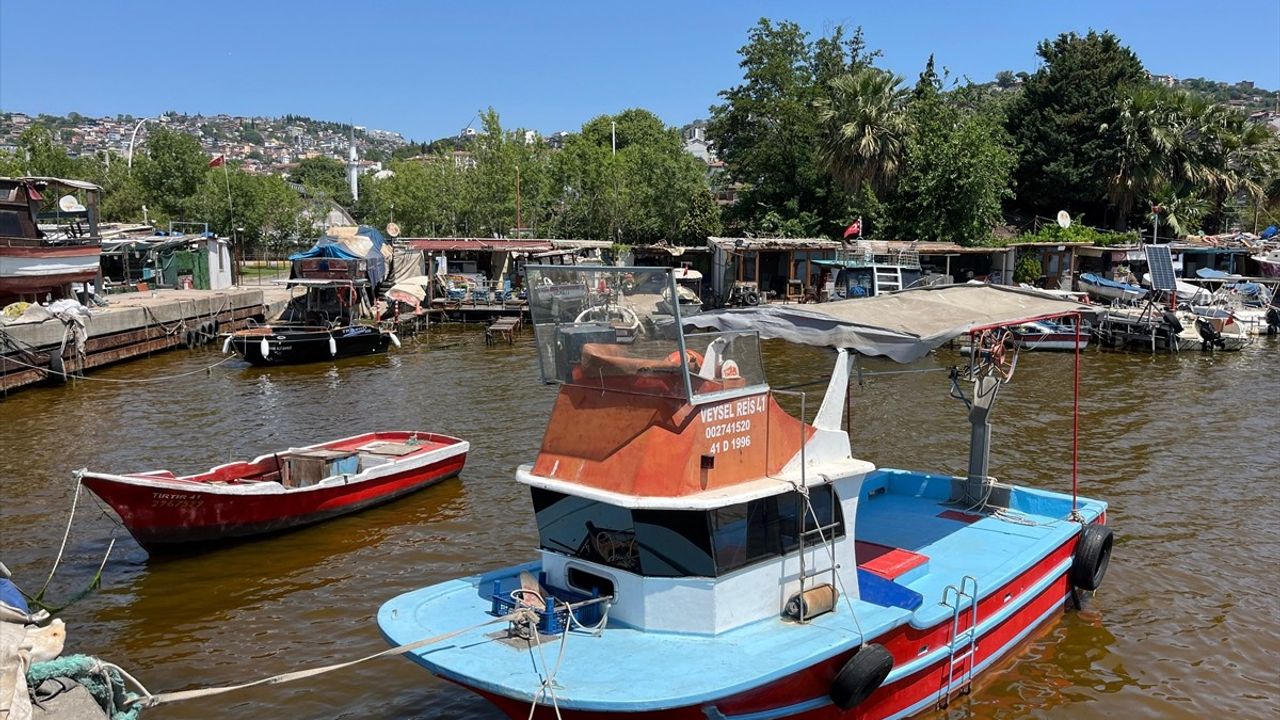 İzmit Körfezi'nde Deniz Yüzeyi Kahverengiye Dönüştü