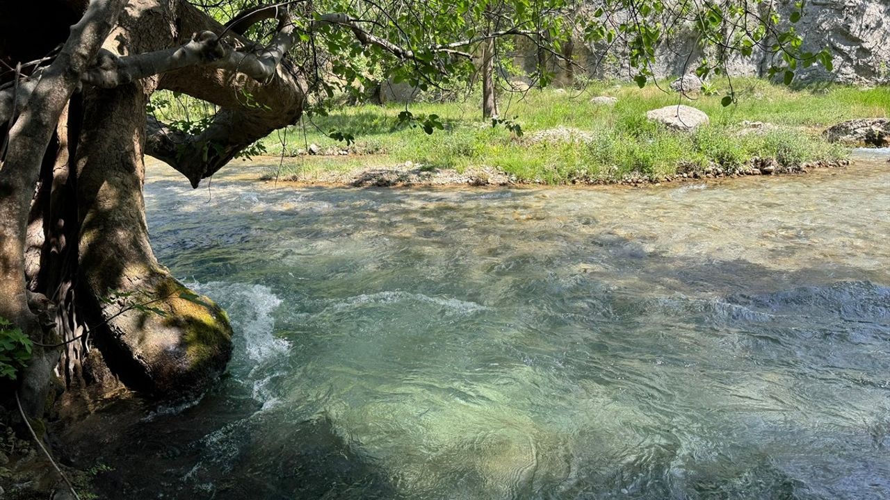 Kahramanmaraş'ta Bayram Tatili: Doğa Severler Kale Boynu Kanyonu'nda Kamp Yaptı