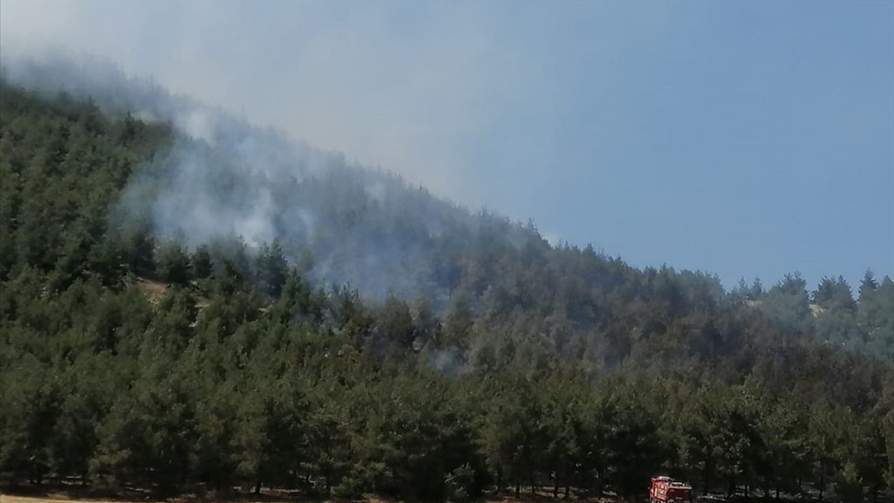 Kahramanmaraş'ta Orman Yangınına Müdahale