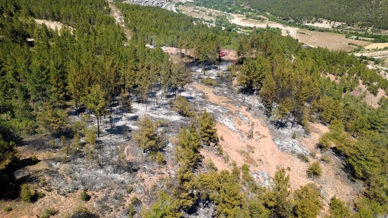 Karabük'te Orman Yangınına Zorlu Müdahale