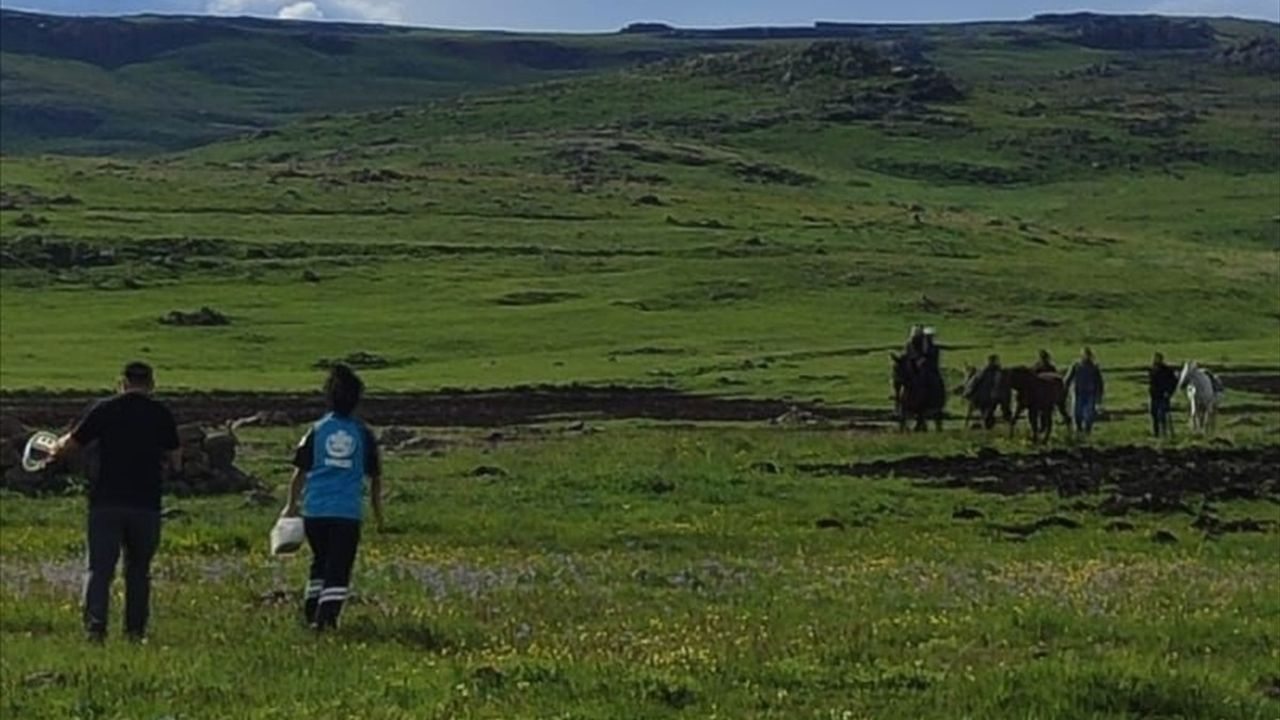 Kars'ta Çoban Kayalıklardan Düşerek Yaralandı