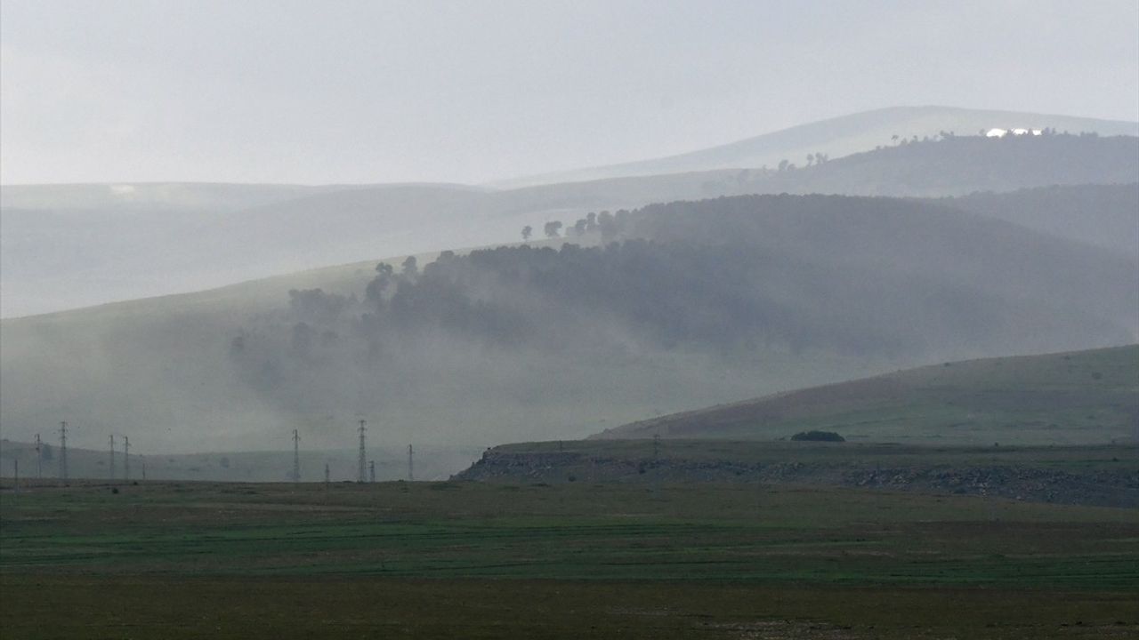Kars'ta Polen Fırtınası Etkili Oluyor