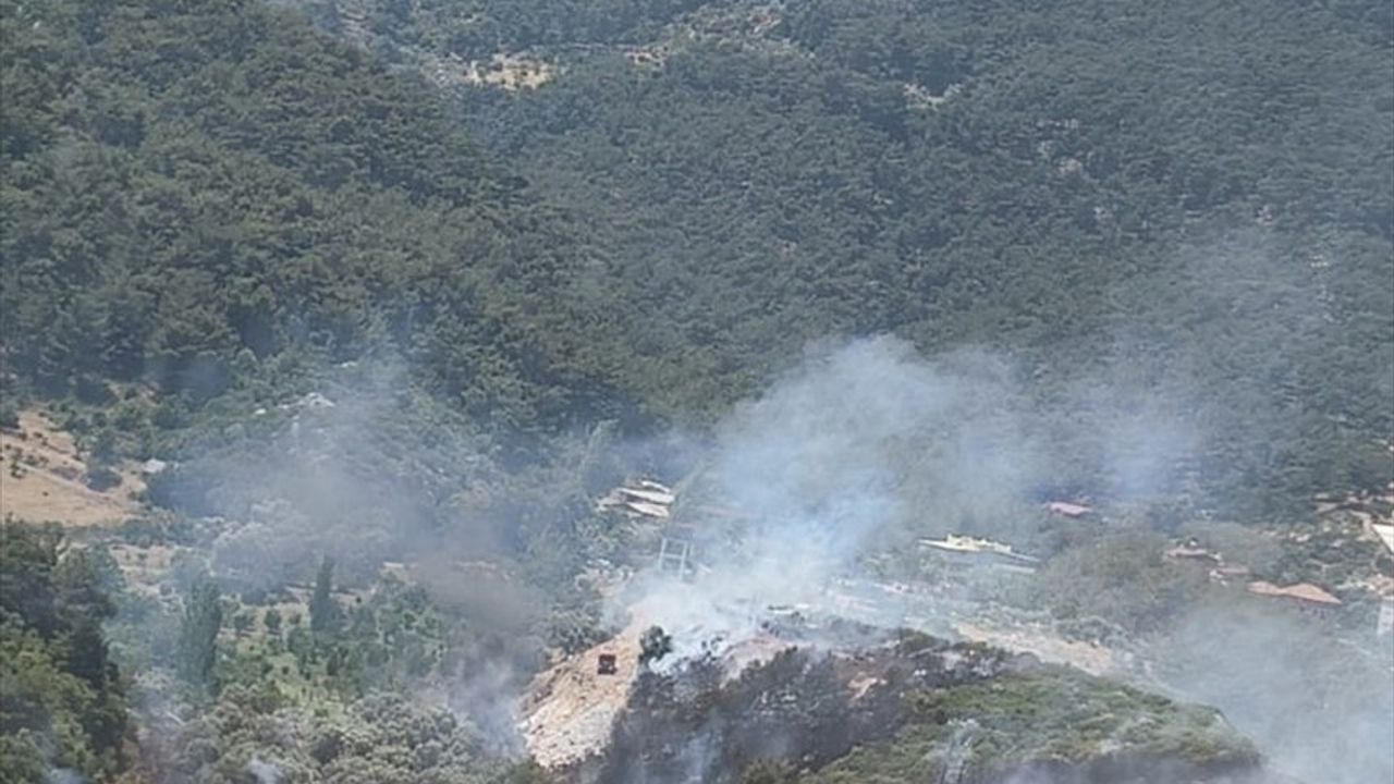 Kemalpaşa'da Orman Yangınına Müdahale