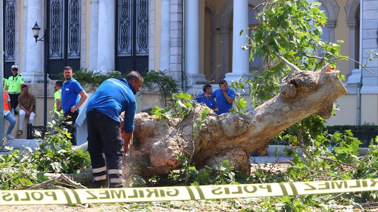 Kemeraltı Çarşısı'ndaki Asırlık Çınar Devrildi