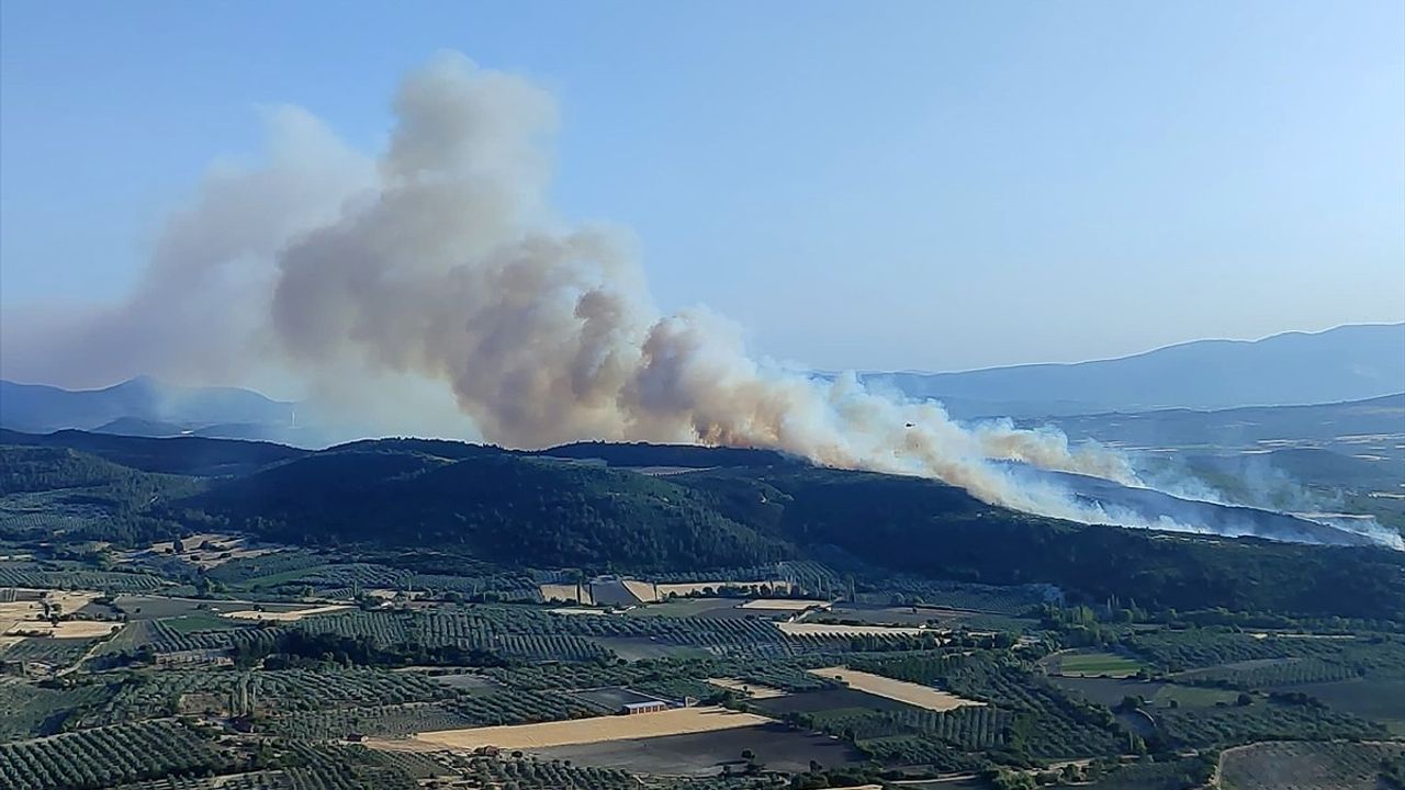 Kırkağaç'ta Orman Yangınına Hızlı Müdahale
