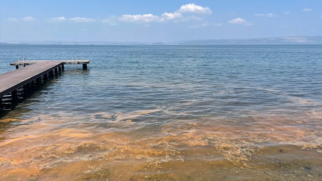 Kocaeli'de Deniz Kıyısı Turuncuya Dönüştü