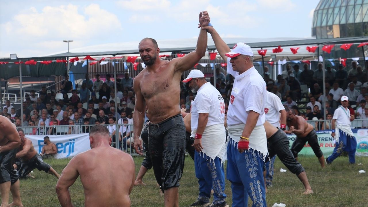 Kocaeli'de Heyecan Dolu Yağlı Güreşler Devam Ediyor