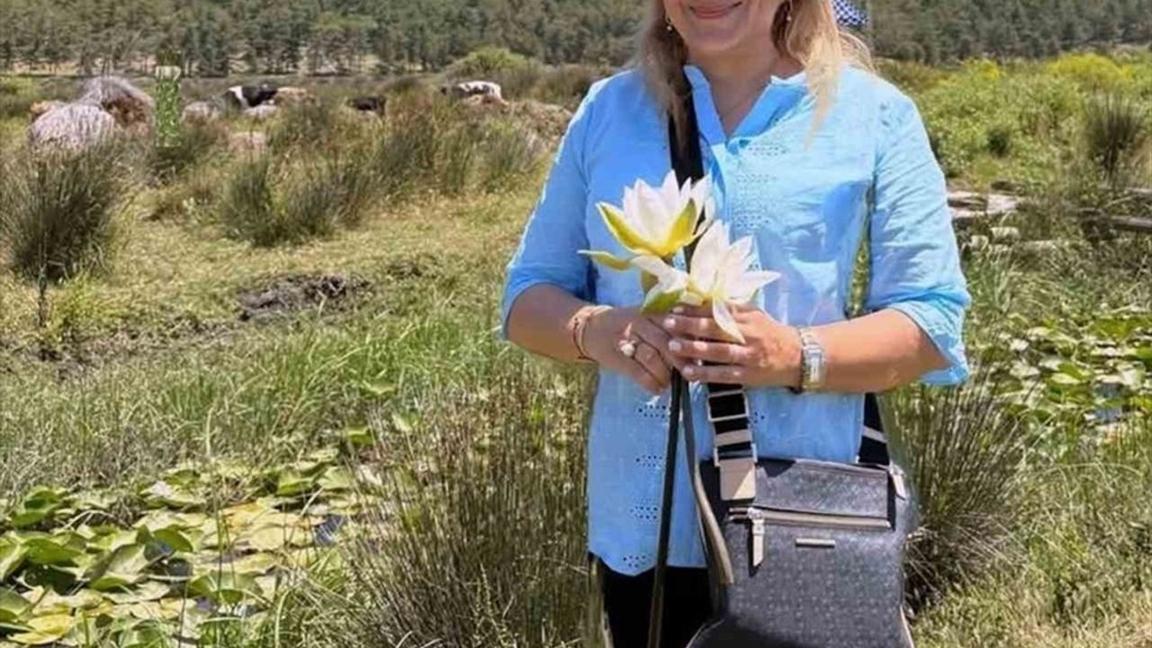 Köyceğiz Gölü'nde Beyaz Nilüfer Çiçeği Üzerine Önemli Araştırma