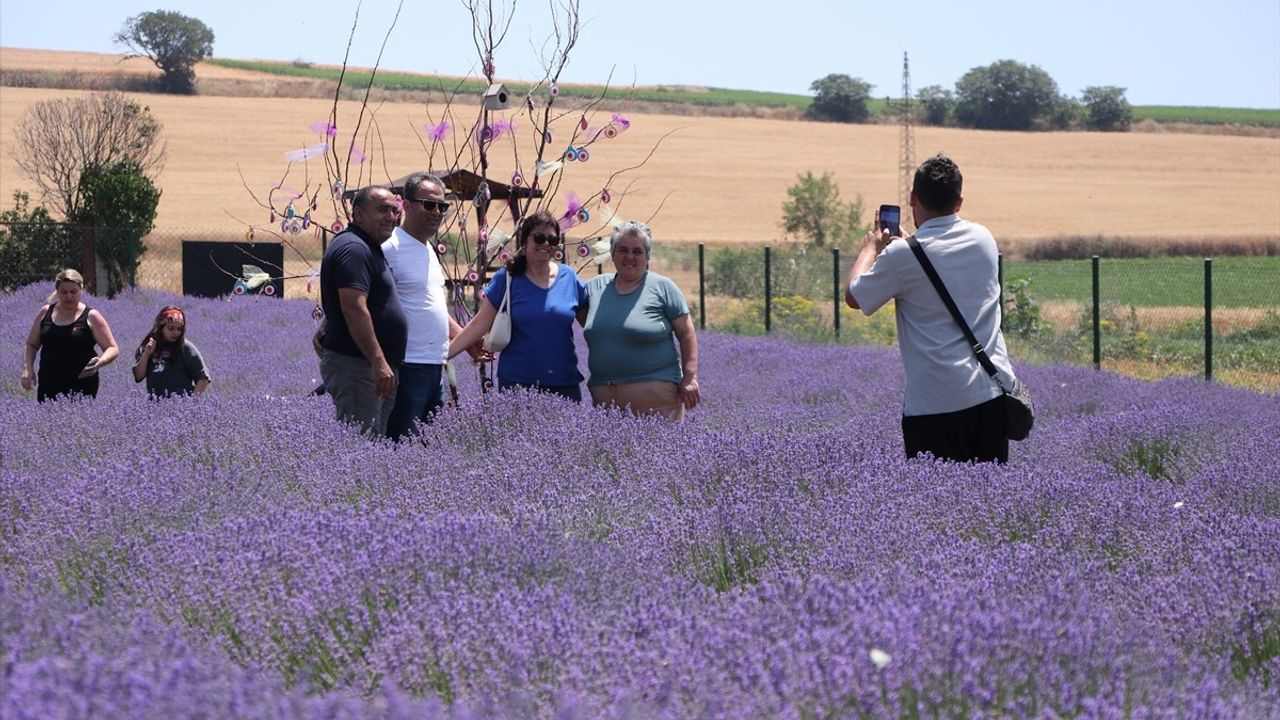 Kurban Bayramı'nda Tekirdağ'ın Lavanta Tarlaları Ziyaretçi Akınına Uğradı