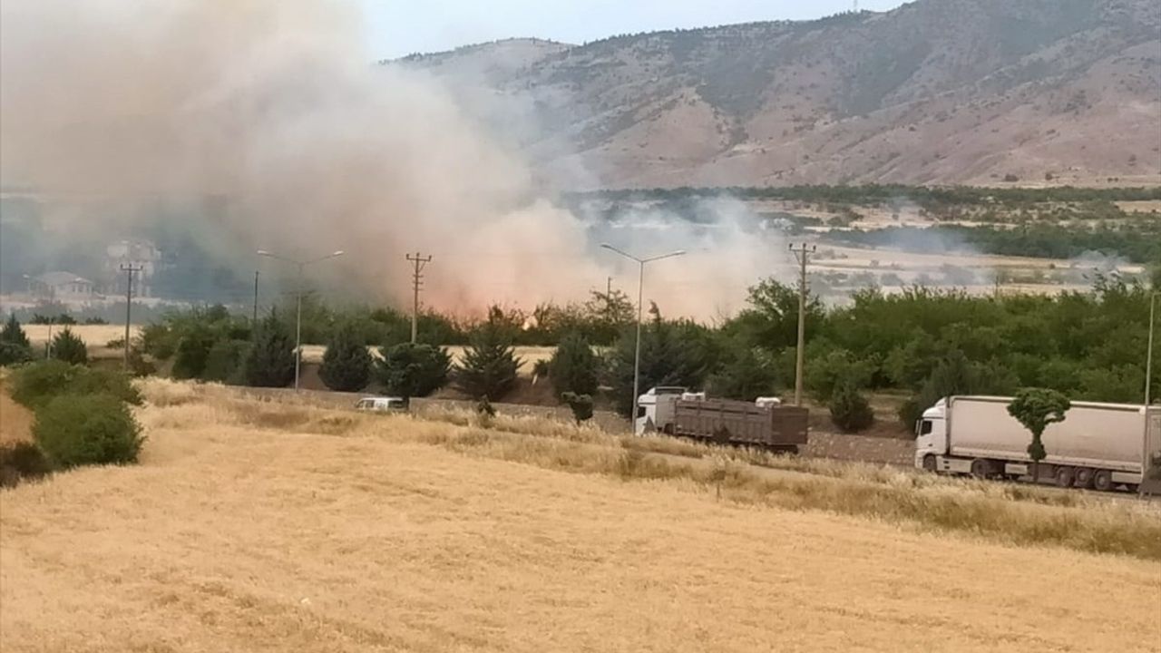 Malatya'da Otluk Alanda Yangın