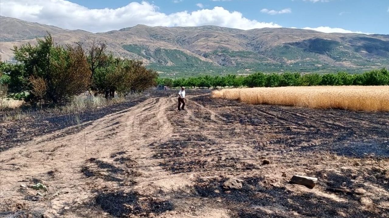 Malatya'da Yangın Paniği: Buğday Tarlası Zarar Gördü