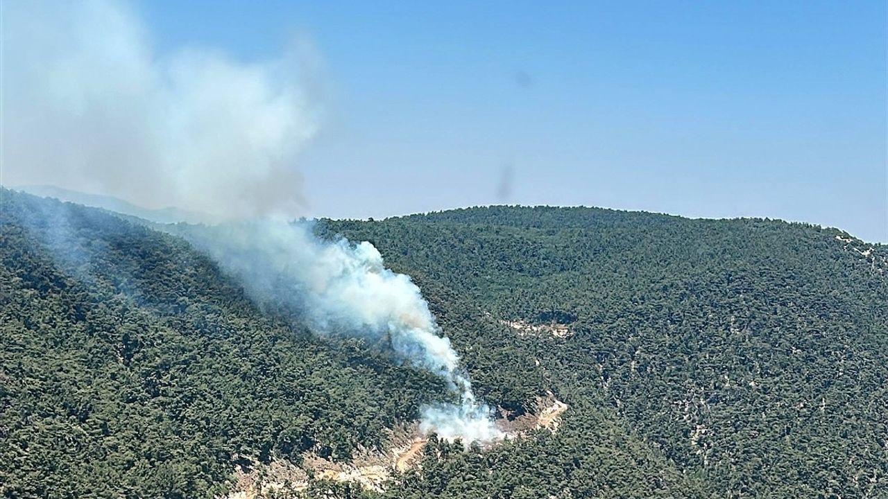 Manisa'da Orman Yangınına Havadan ve Karadan Müdahale