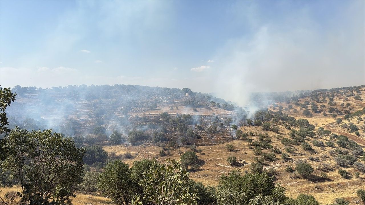 Mardin'de Orman Yangınına Hızlı Müdahale
