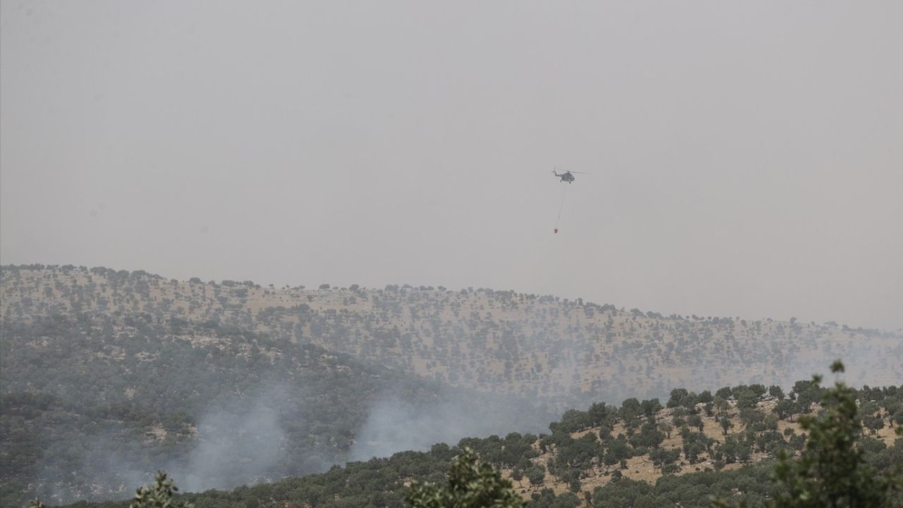 Mardin'de Orman Yangınına Müdahale