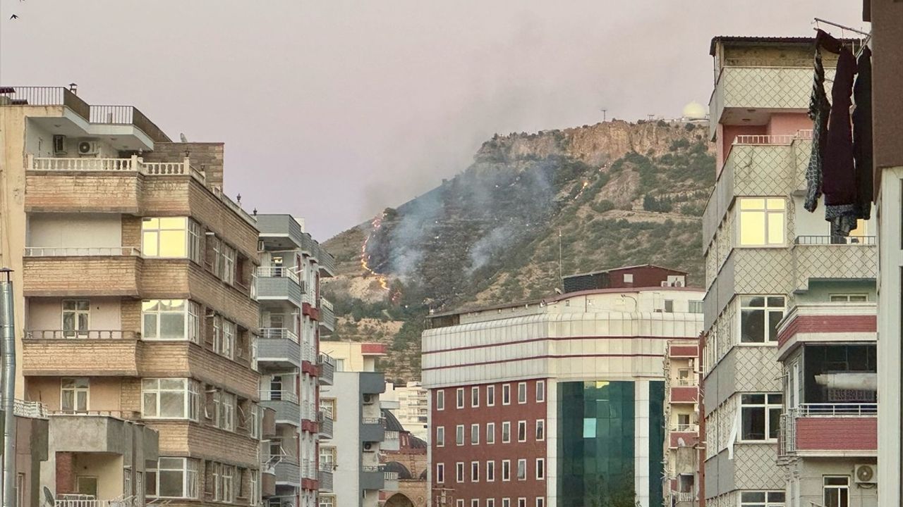 Mardin'deki Tarihi Kalede Yangın Kontrol Altına Alındı