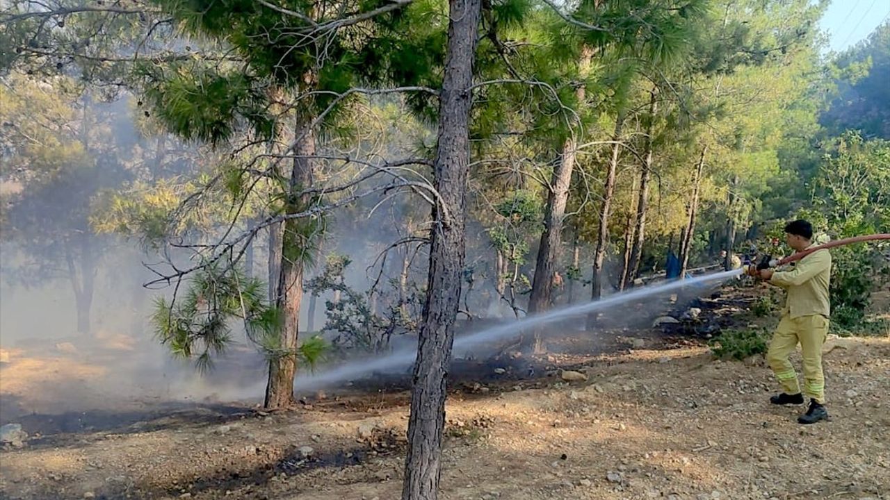 Mersin Aydıncık'taki Orman Yangını Kontrol Altına Alındı