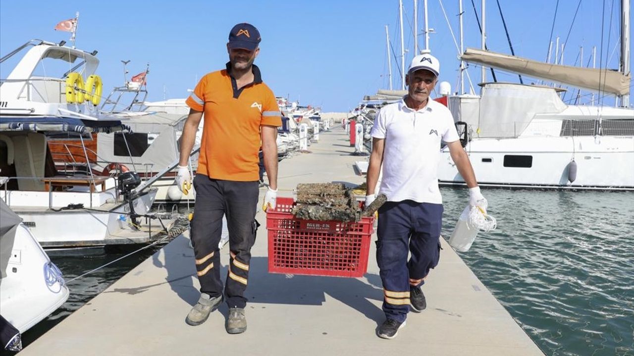 Mersin'de Denizde Temizlik Etkinliği Gerçekleşti
