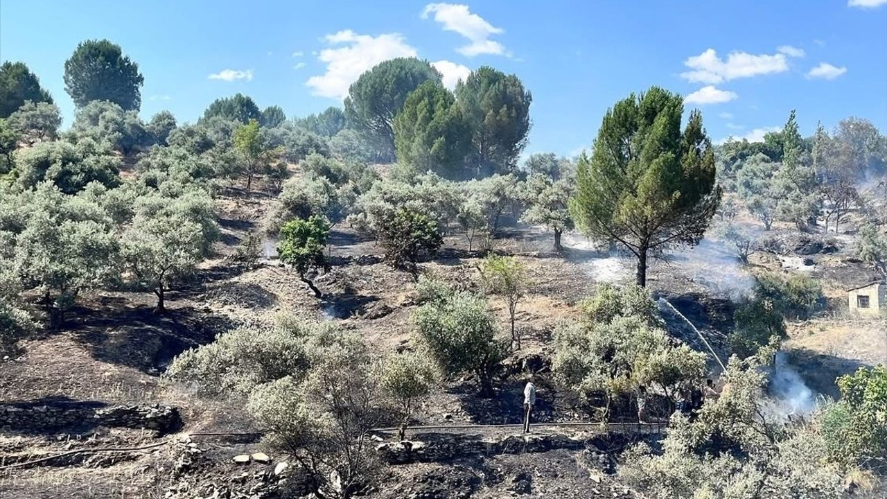Muğla'da Yangın Kontrol Altına Alındı