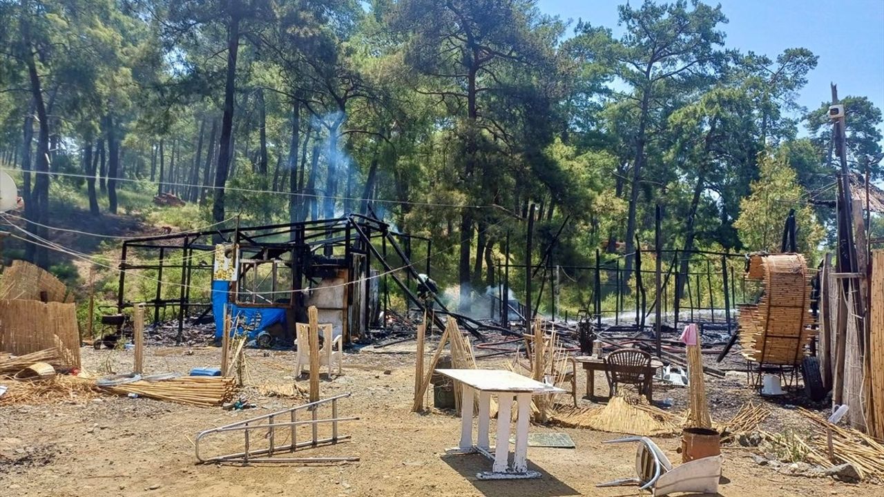 Muğla'daki Yangın Ormanlık Alana Sıçramadan Kontrol Altına Alındı