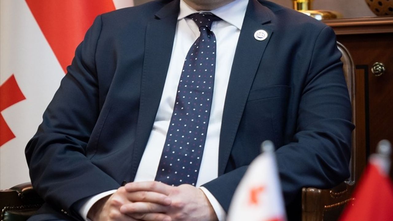 Oktay ve Samkharadze Görüşmesi: Bölgeye Barış Çağrısı