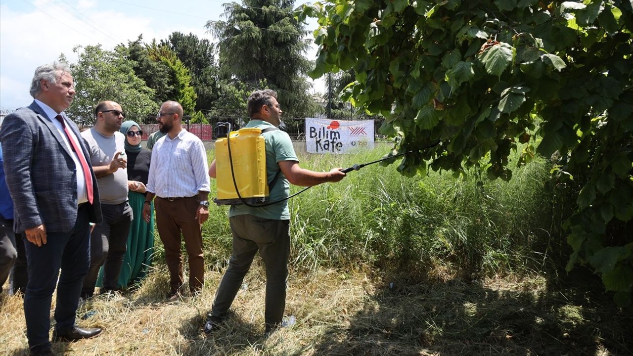 Ordu'da Balık Atıkları Gübreye Dönüşüyor