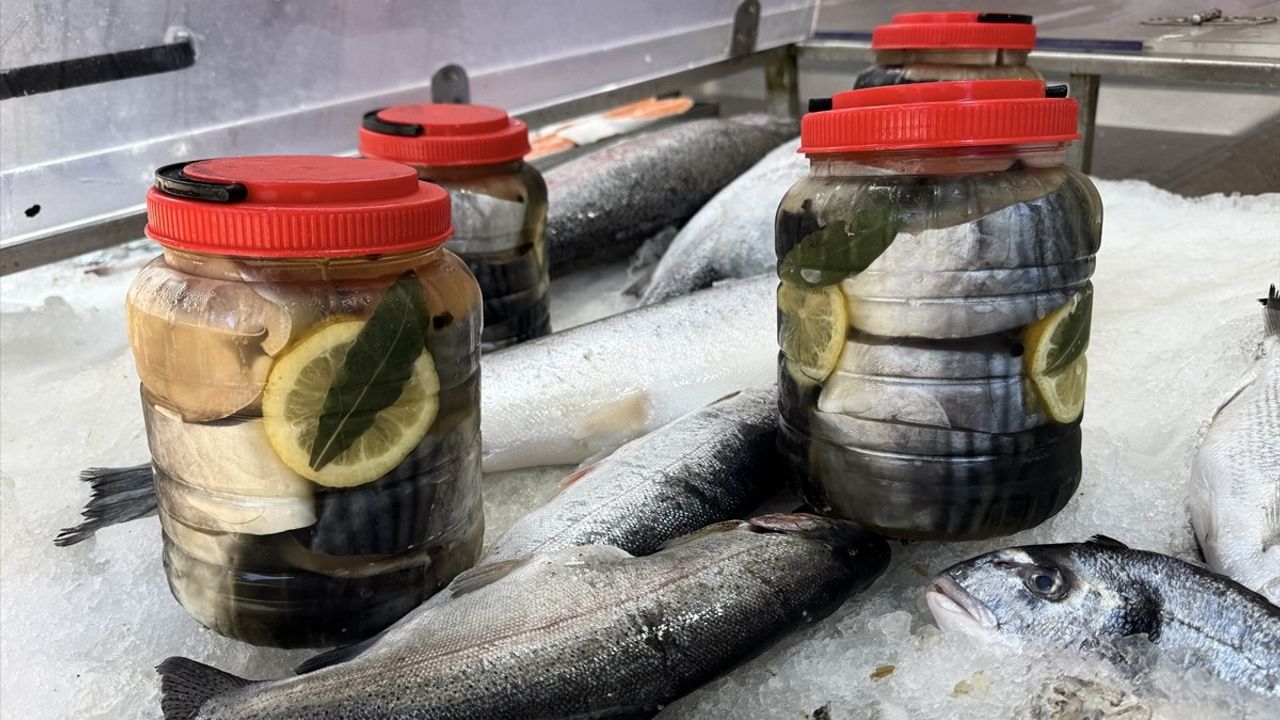 Palamut ve Sinop'un Lezzeti: Tuzlu Lakerda
