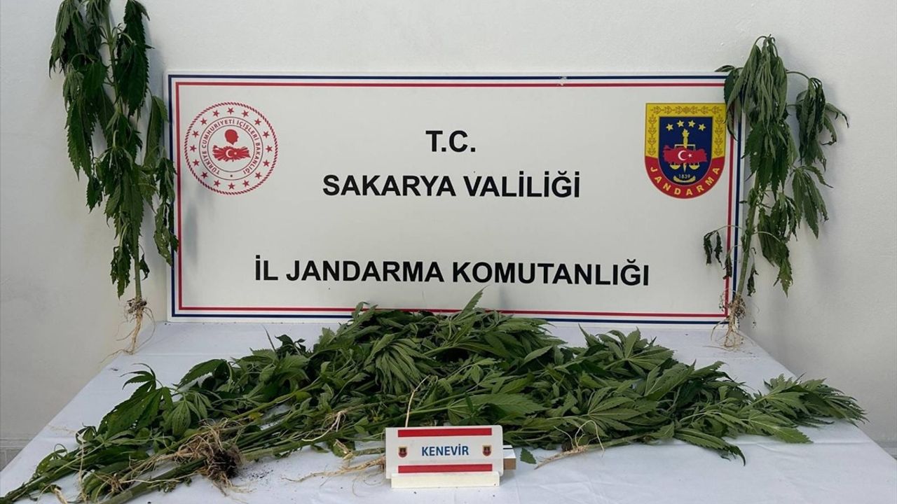 Sakarya'da Uyuşturucu Operasyonu: 3 Şüpheli Tutuklandı