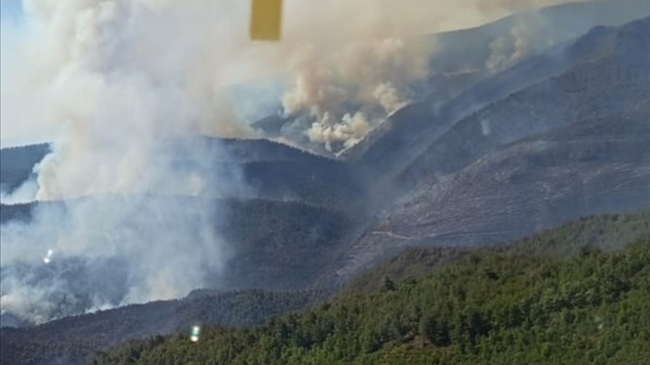 Sakarya'daki Orman Yangını Bilecik'e Sıçradı