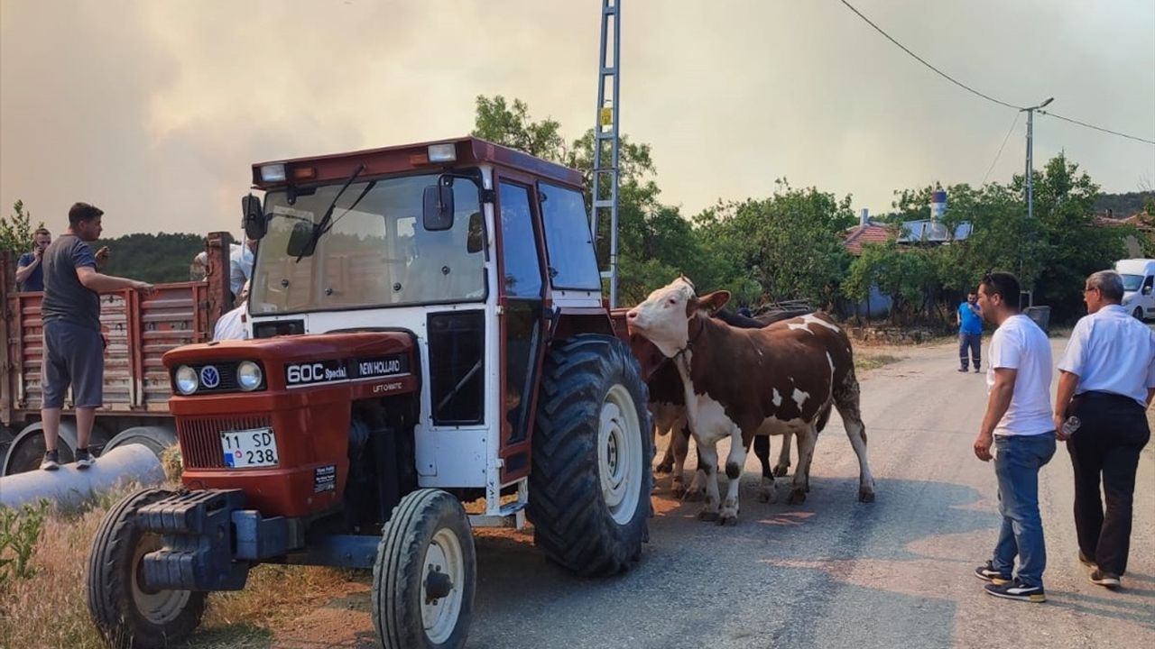 Sakarya'daki Orman Yangını Bilecik'e Sıçradı