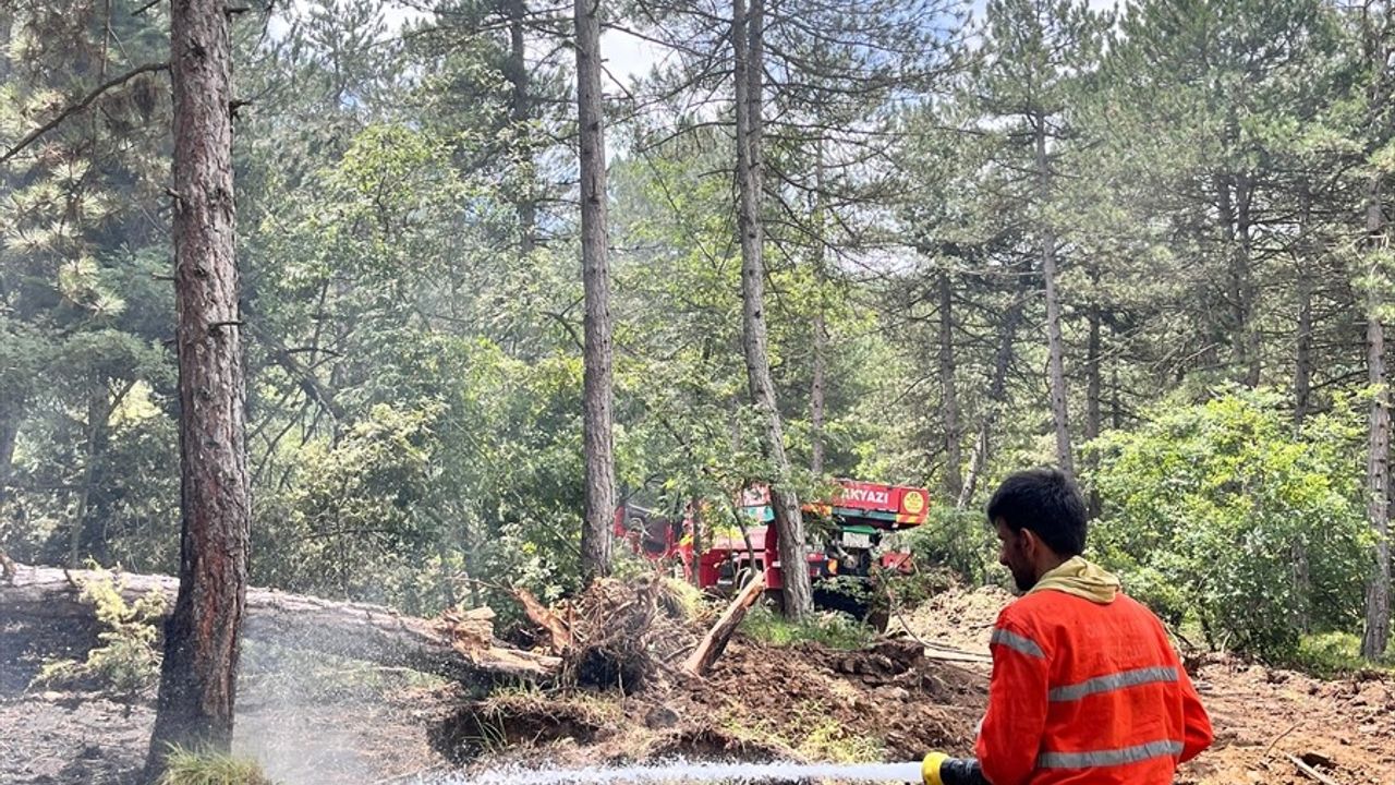 Sakarya'daki Orman Yangını Kontrol Altına Alındı