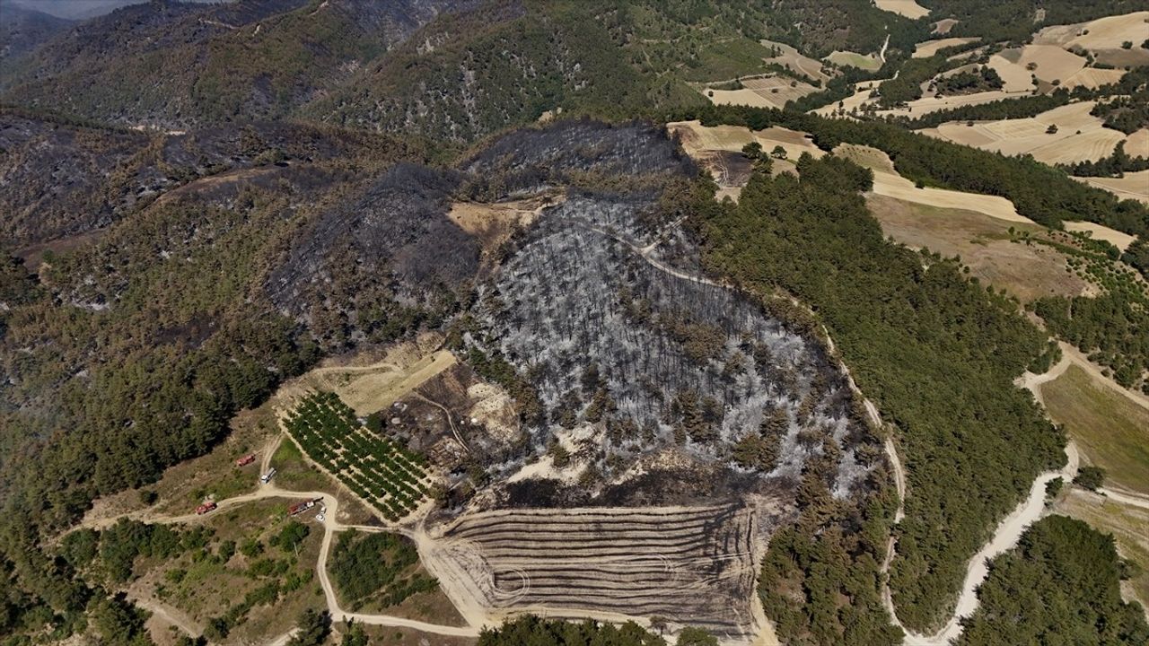 Sakarya'daki Orman Yangınına Müdahale Devam Ediyor