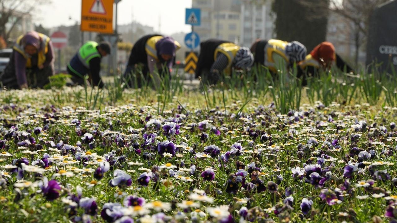 Samsun'da Geri Dönüşüm ile 66 Bin Ağaç Kurtuluyor