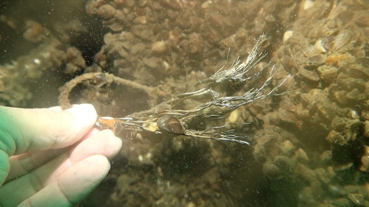 Sapanca Gölü'nde 53 Yıl Sonra Uçak Enkazı Görüntülendi