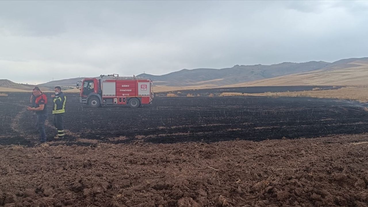 Siirt'te Yıldırım Düşmesi Yangına Neden Oldu