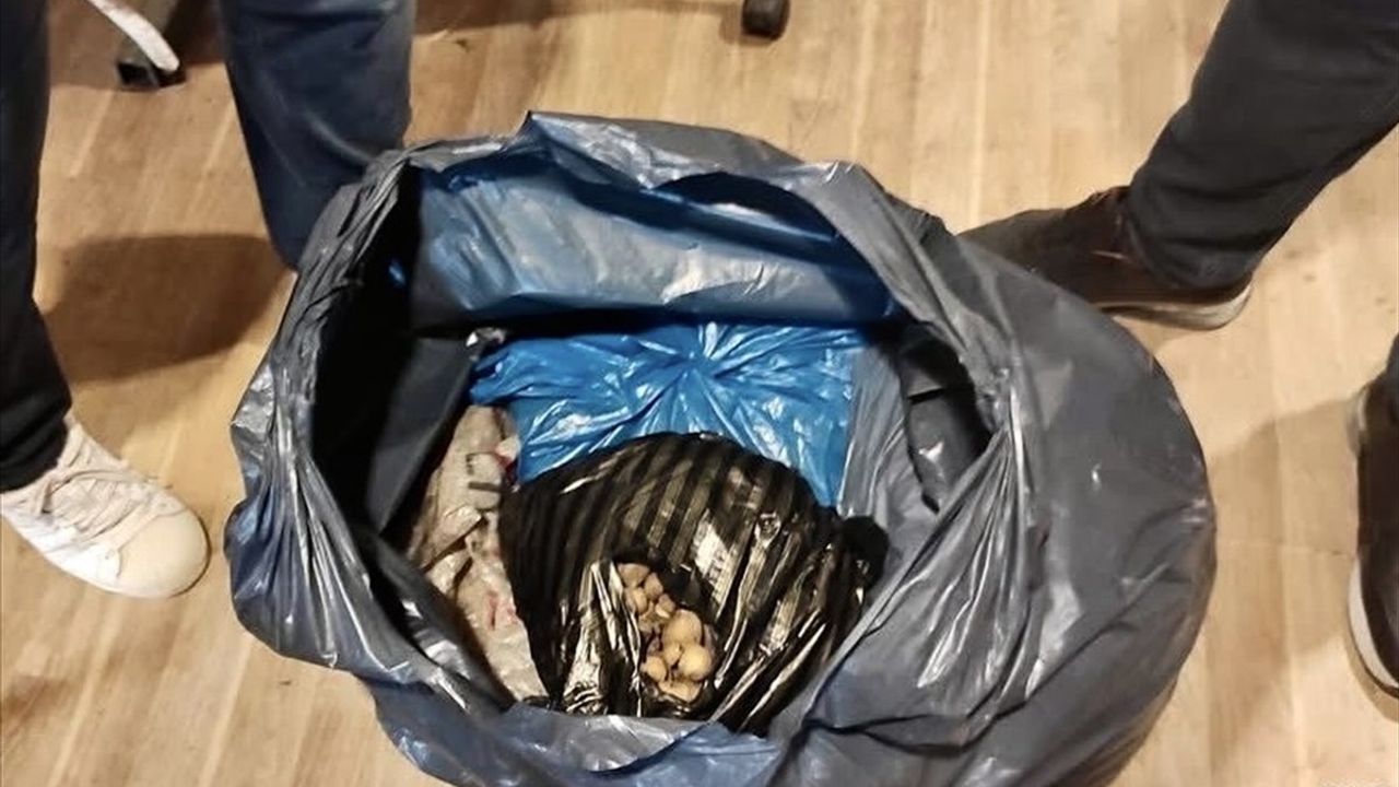 Sinop'ta İzinsiz Yabani Orkide Satışı Takibi