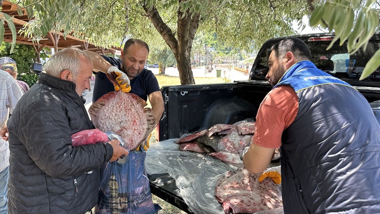 Sinop'ta Kaçak Avlanan 1611 Kalkan Balığı Ele Geçirildi