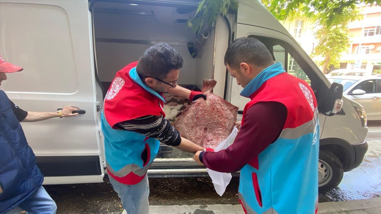 Sinop'ta Kaçak Avlanan Kalkan Balıkları Vatandaşlara Dağıtıldı