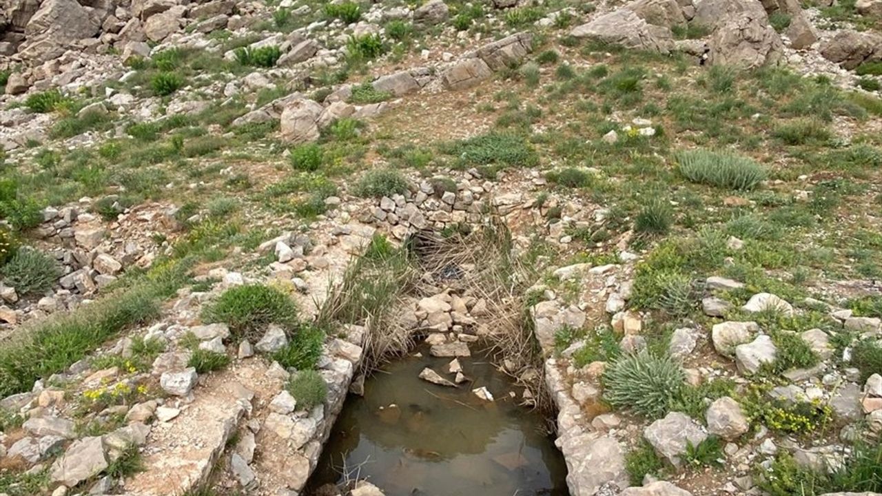 Şırnak'ta Arkeolojik Yüzey Araştırması