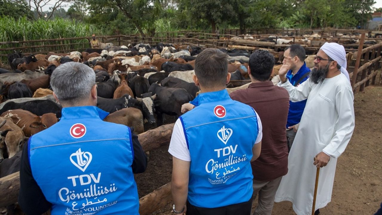 TDV Ekipleri Malavi'de Kurban Kesim Hazırlıklarını Tamamladı