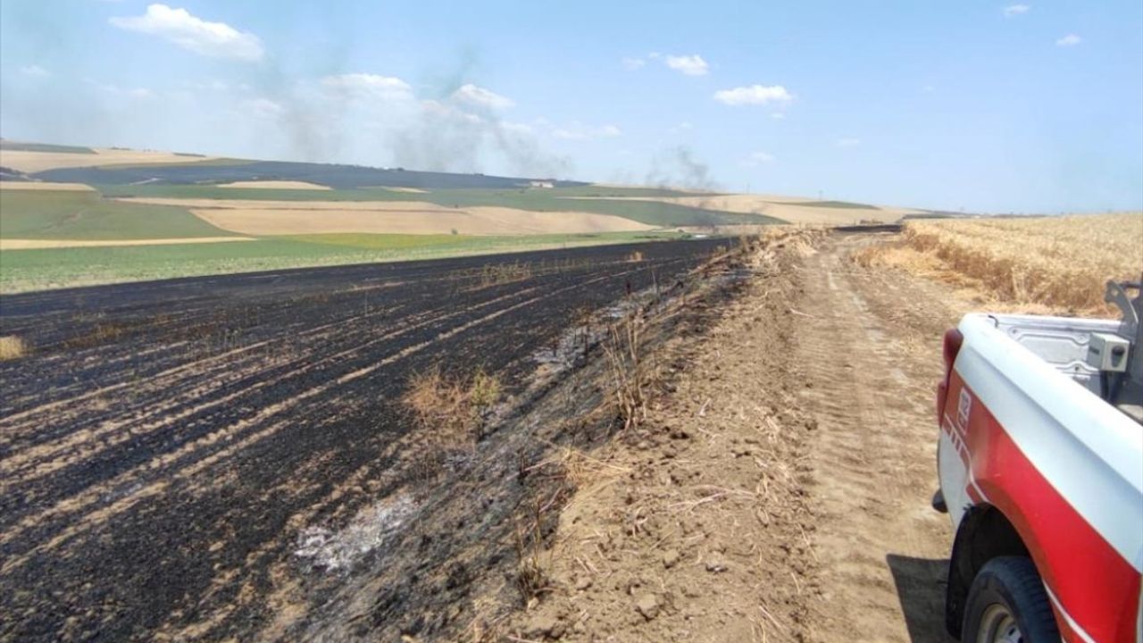 Tekirdağ'da 70 Dönüm Buğday Tarlası Yanarak Zarar Gördü