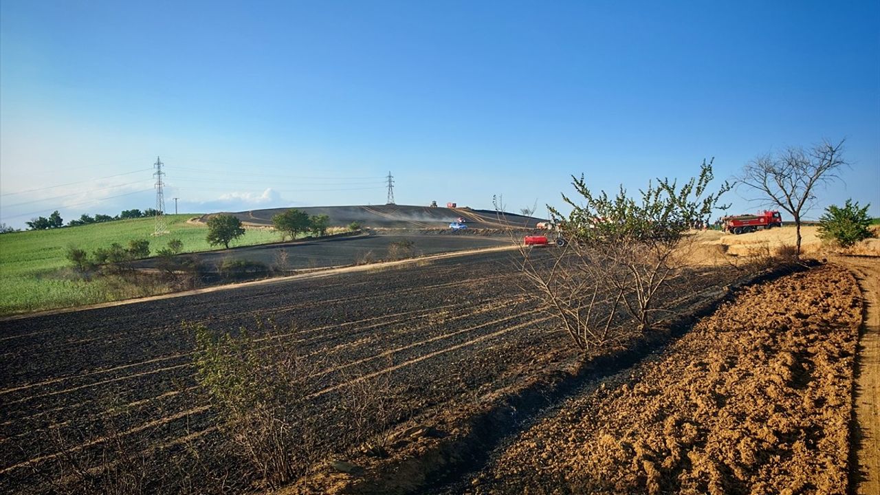 Tekirdağ'da Buğday Tarlası Yangını