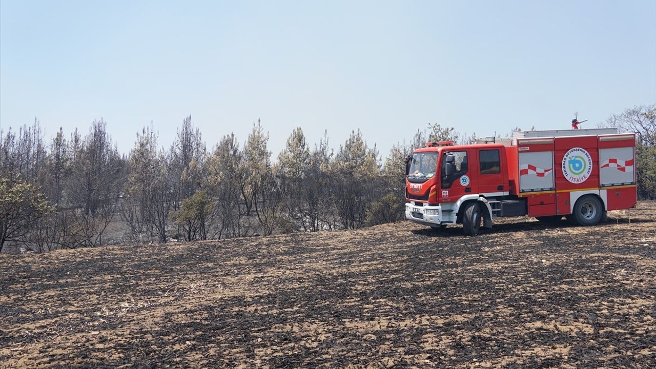 Tekirdağ'da Orman Yangınına Hızla Müdahale