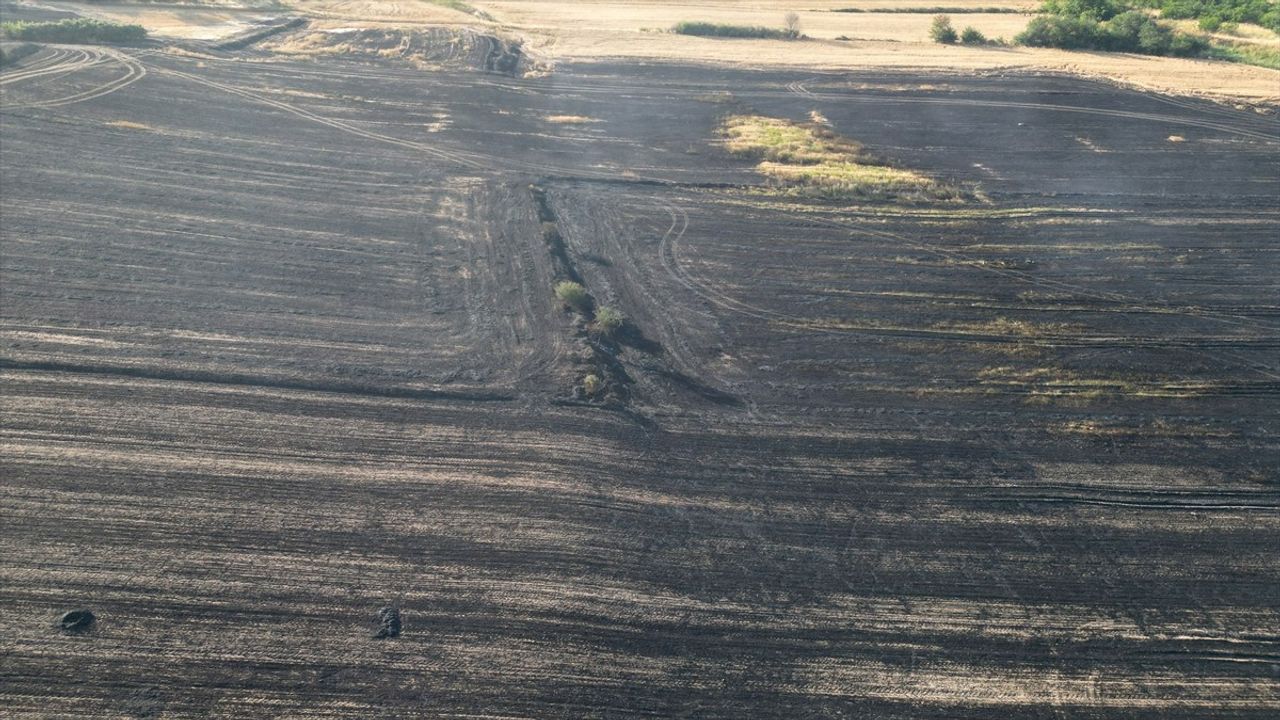 Tekirdağ'da Tarım Arazileri Yangında Zarara Uğradı