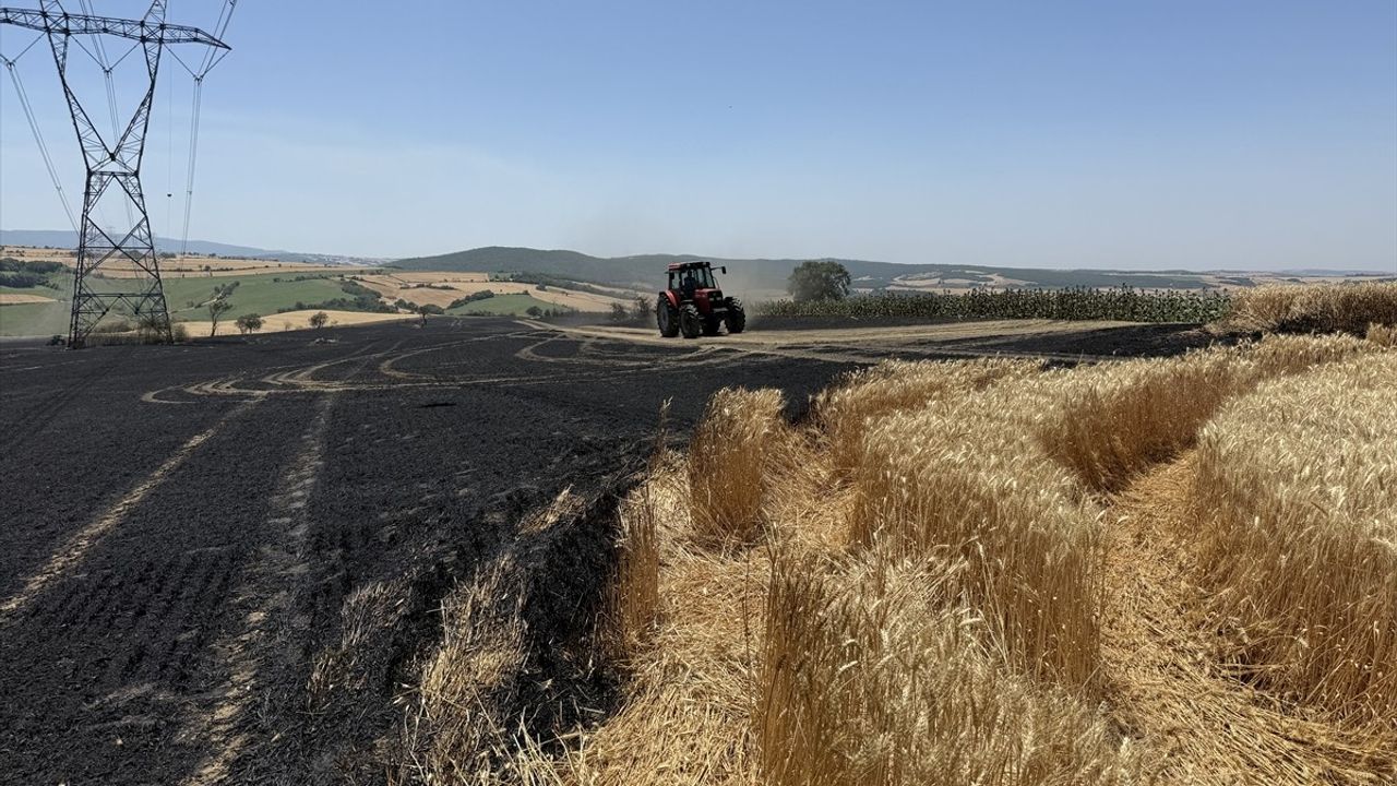 Tekirdağ'da Yangın Felaketi: 340 Dekar Buğday Alanı Zarar Gördü