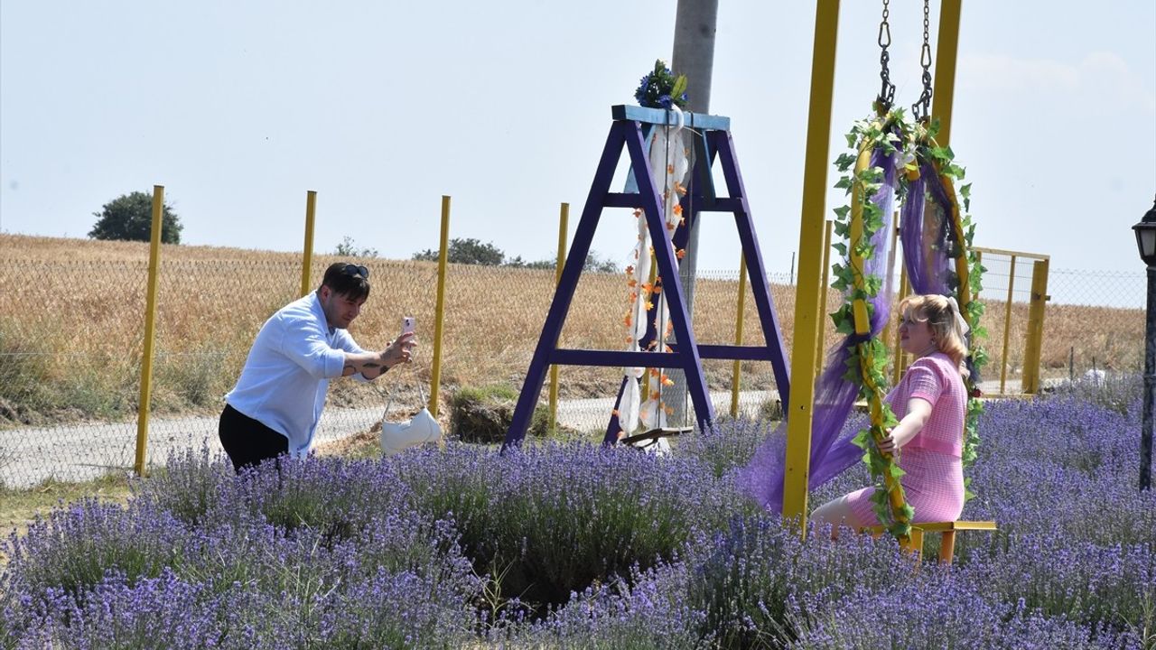 Tekirdağ'daki Lavanta Bahçeleri Fotoğraf Tutkunlarını Ağırlıyor